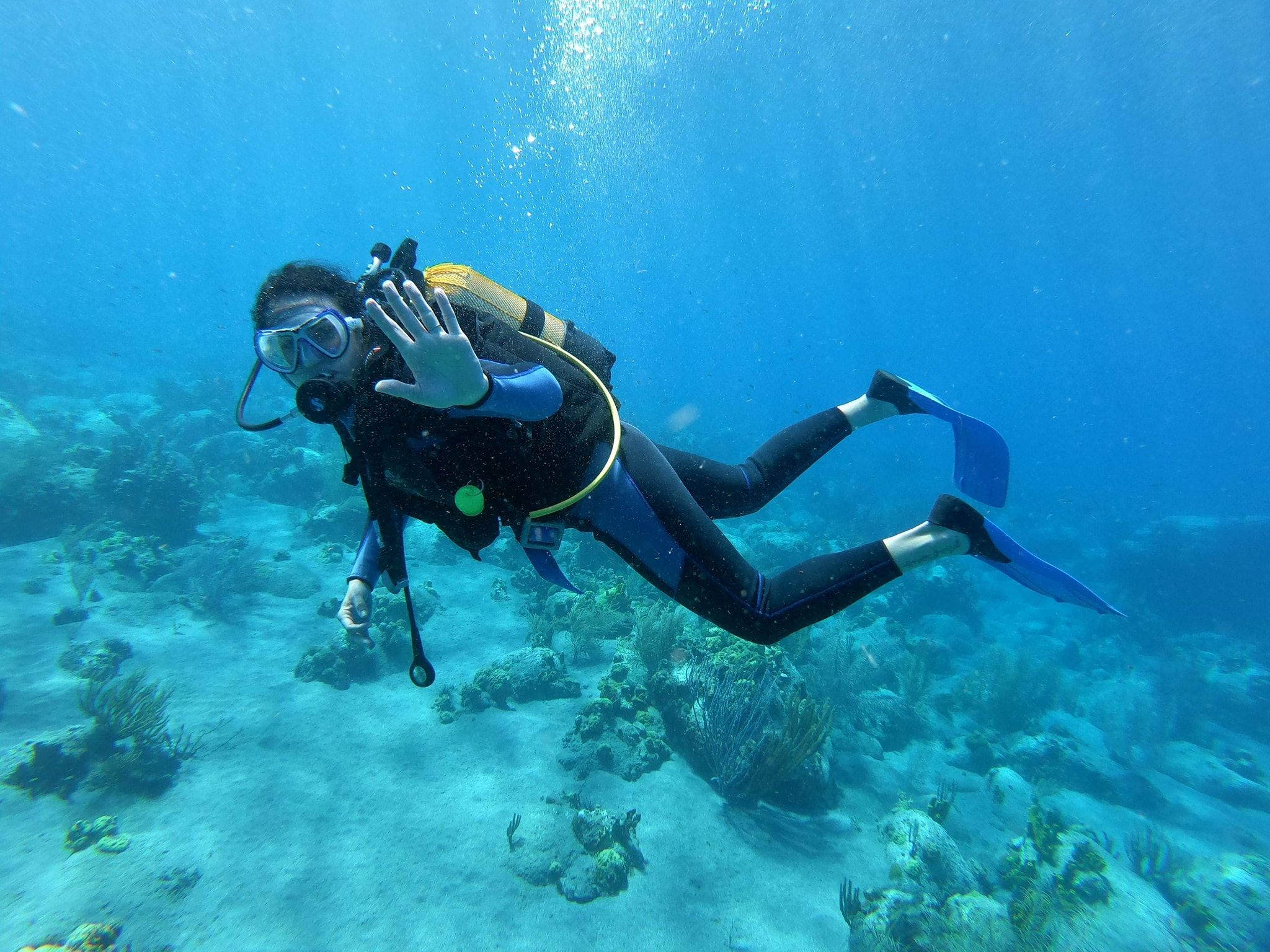 la dive