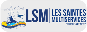 logolsm